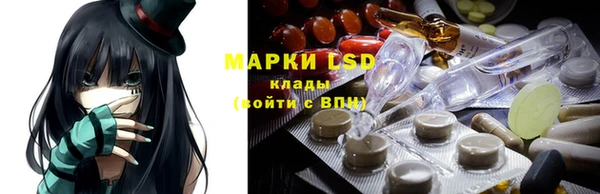 apvp Надым