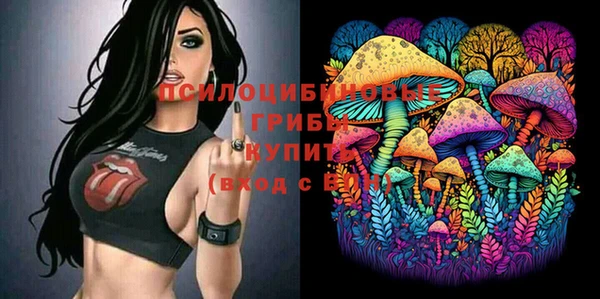 apvp Надым
