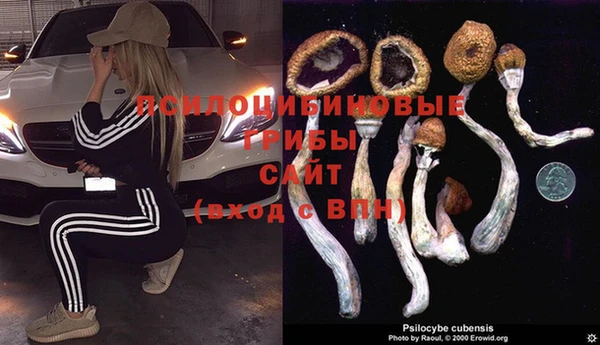 apvp Надым