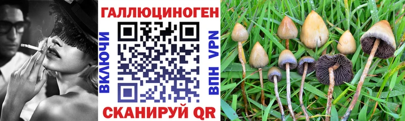 MEGA рабочий сайт  Ишимбай  Псилоцибиновые грибы мицелий  цена  