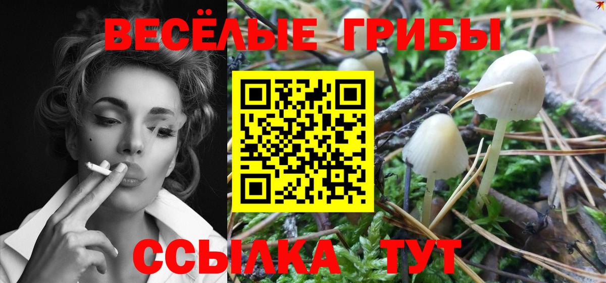 Галлюциногенные грибы Psilocybe Ишимбай